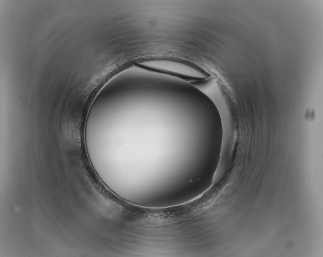 X0000090460489200707201337