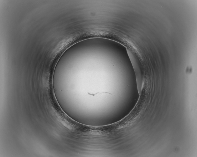 X0000090460490200707201337