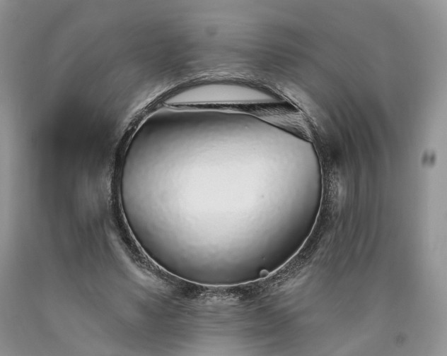 X0000090460491200707201337