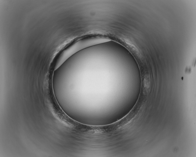 X0000090460492200707201337