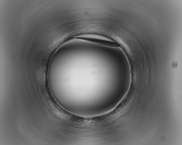 X0000090460493200707201337