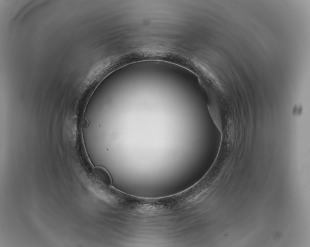 X0000090460494200707201337