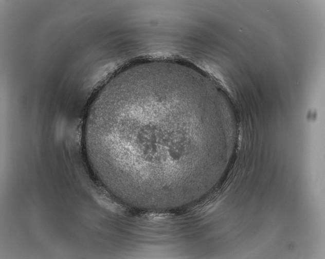 X0000090460495200707201337