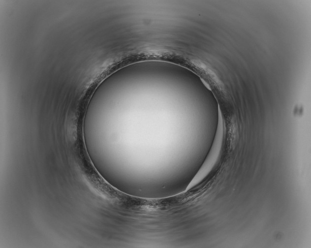 X0000090460496200707201337