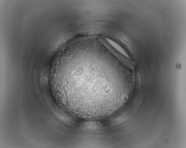 X0000090460499200707201337