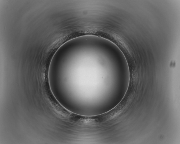 X0000090460501200707201337