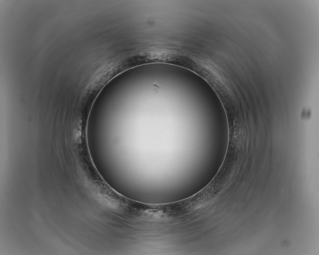 X0000090460502200707201337