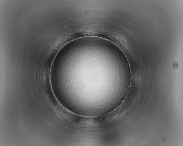 X0000090460503200707201337