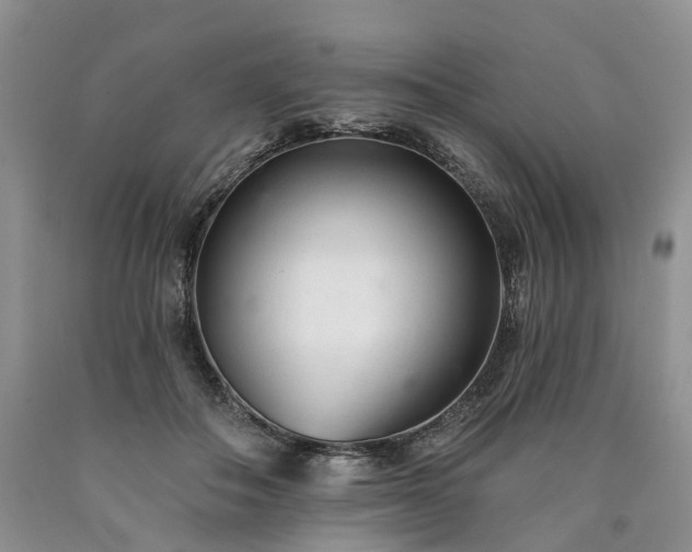 X0000090460506200707201337