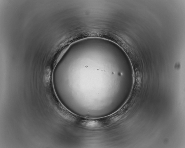 X0000090460507200707201337