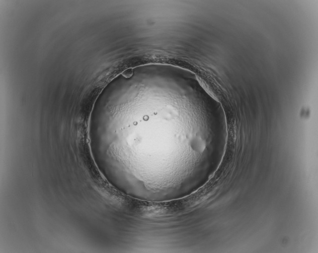 X0000090460511200707201337
