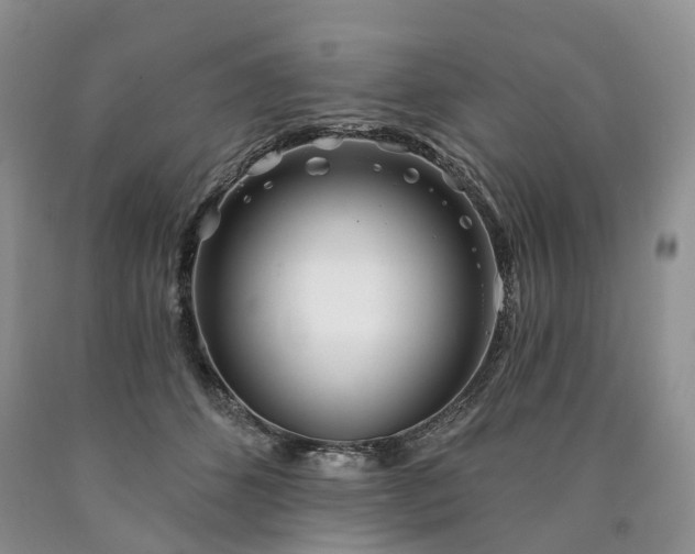 X0000090460512200707201337
