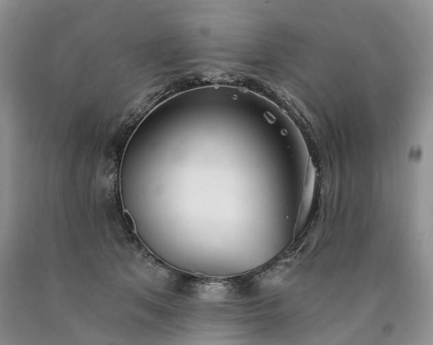 X0000090460513200707201337