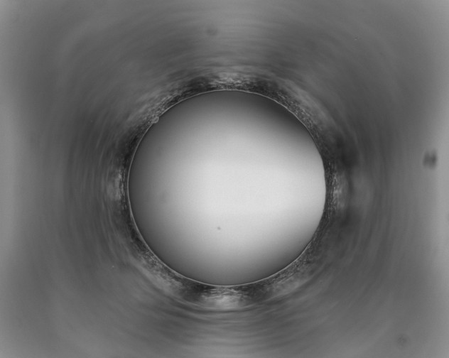 X0000090460514200707201337