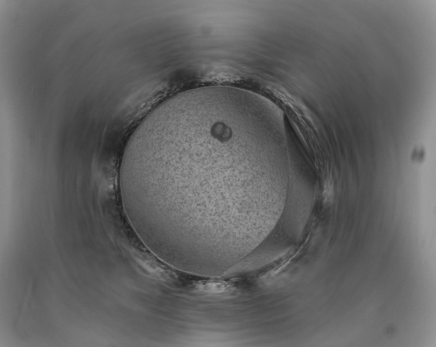 X0000090460517200707201337