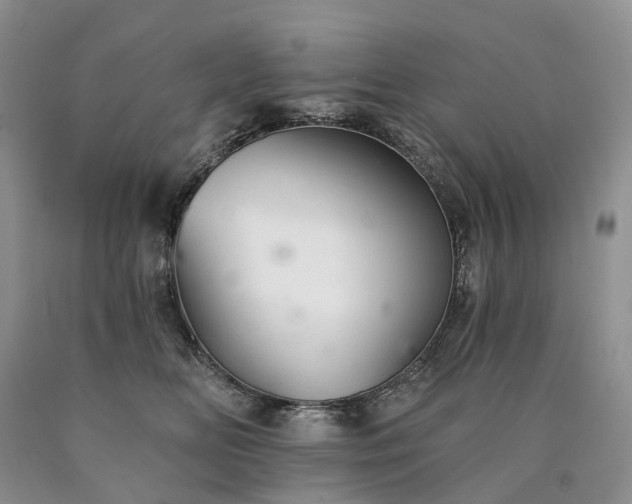 X0000090460518200707201337