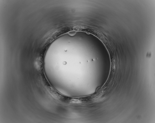 X0000090460519200707201337