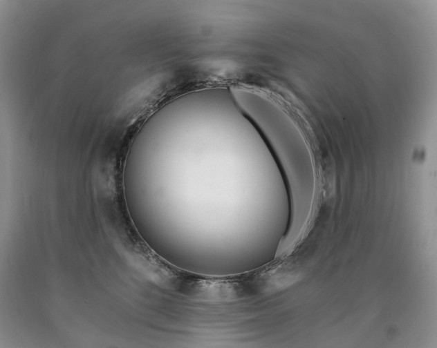 X0000090460520200707201337