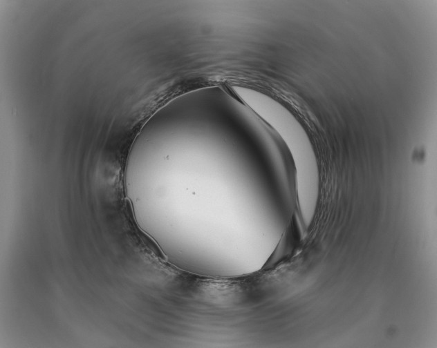 X0000090460521200707201337
