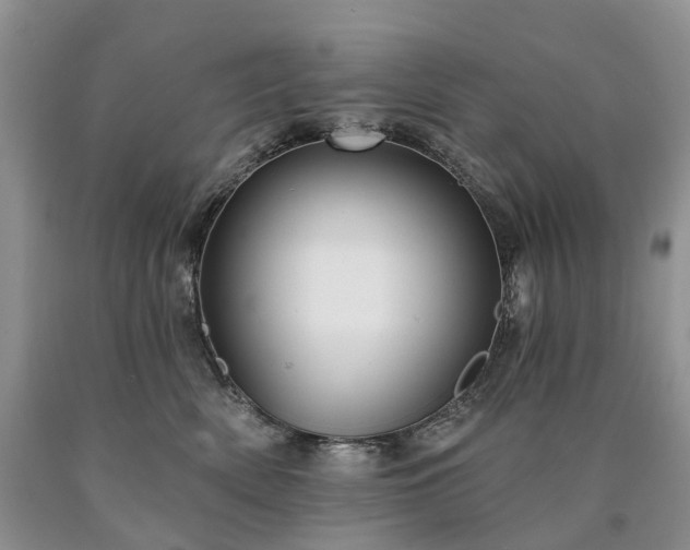 X0000090460522200707201337