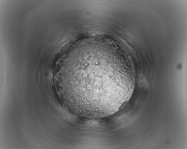 X0000090460523200707201337