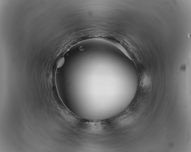 X0000090460524200707201336