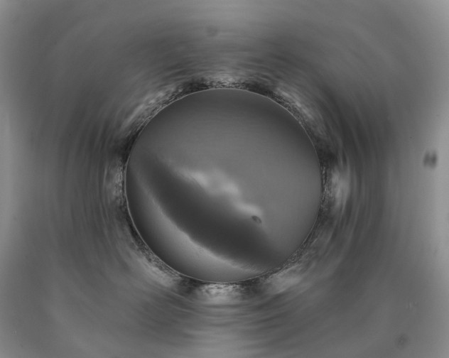 X0000090460526200707201336