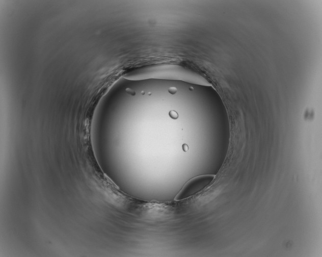 X0000090460528200707201336