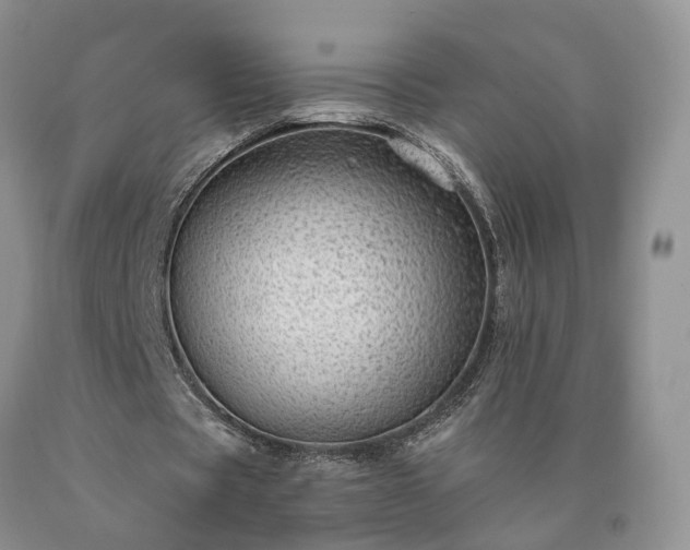 X0000090460529200707201336