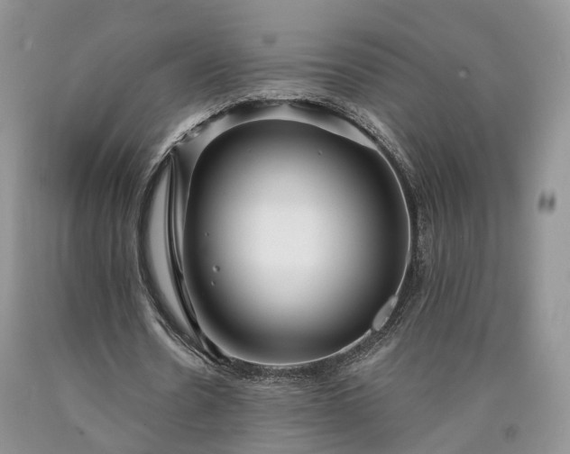 X0000090460530200707201336