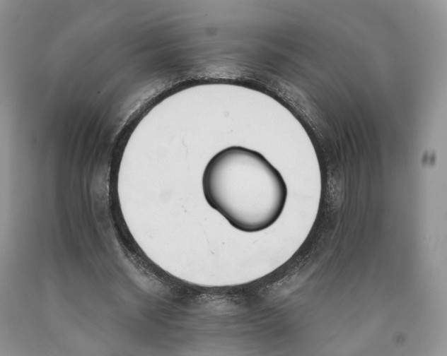 X0000090460534200707201336