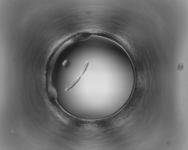 X0000090460535200707201336