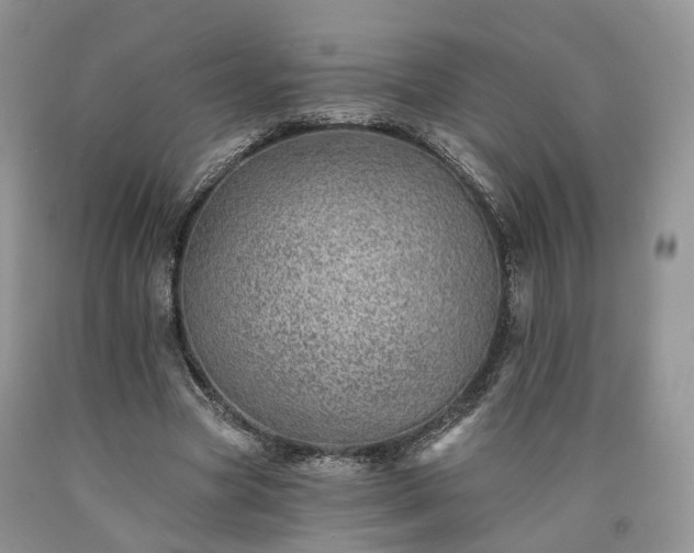 X0000090460537200707201336