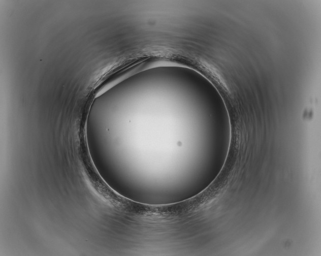 X0000090460538200707201336
