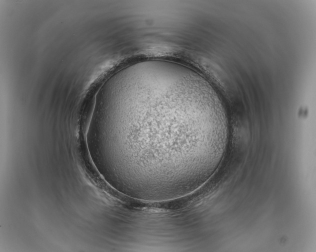 X0000090460539200707201336