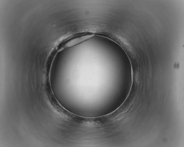 X0000090460540200707201336