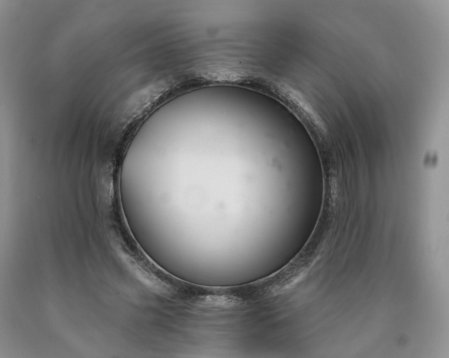 X0000090460541200707201336