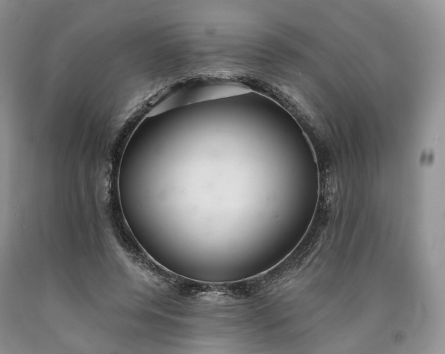 X0000090460544200707201336