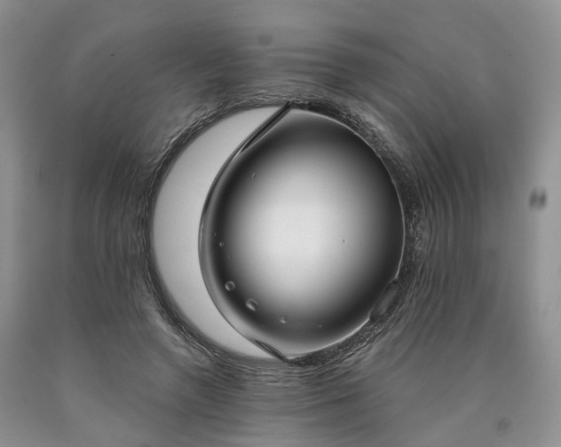 X0000090460546200707201336
