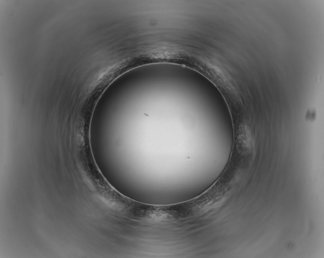 X0000090460547200707201336
