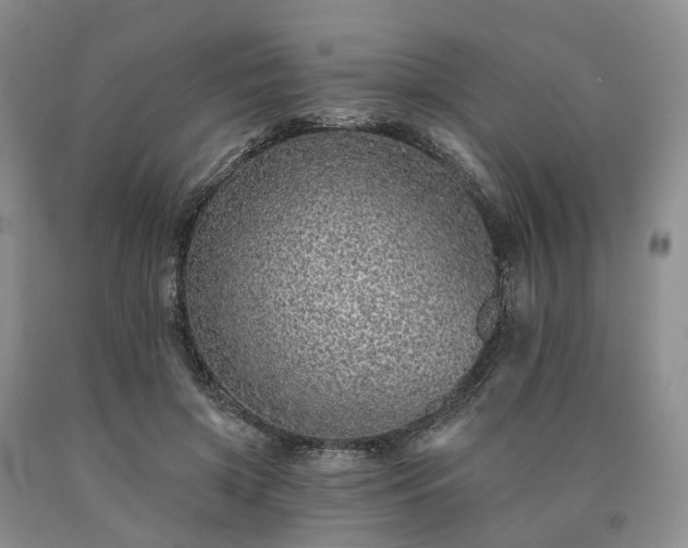 X0000090460549200707201336