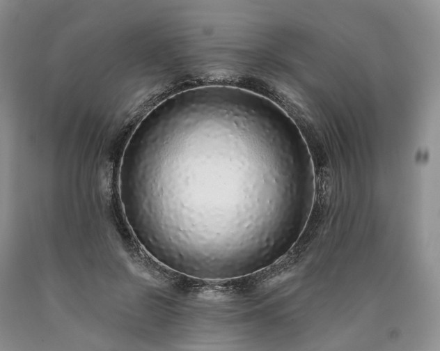 X0000090460550200707201336