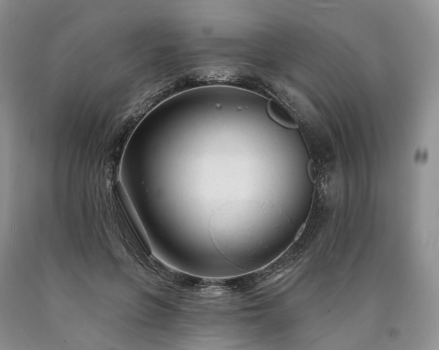 X0000090460551200707201336