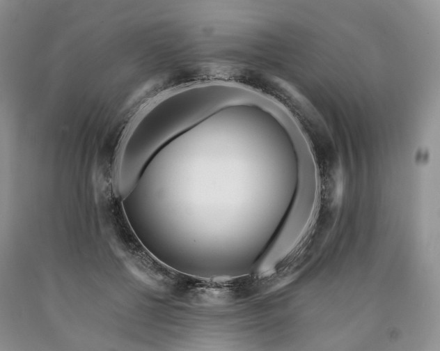 X0000090460552200707201336