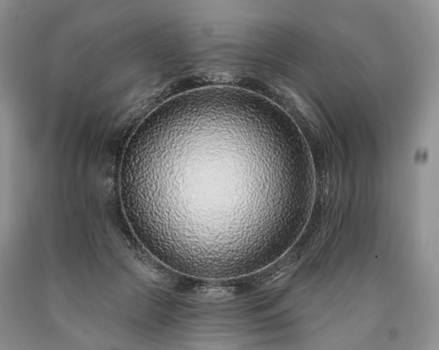 X0000090460553200707201336