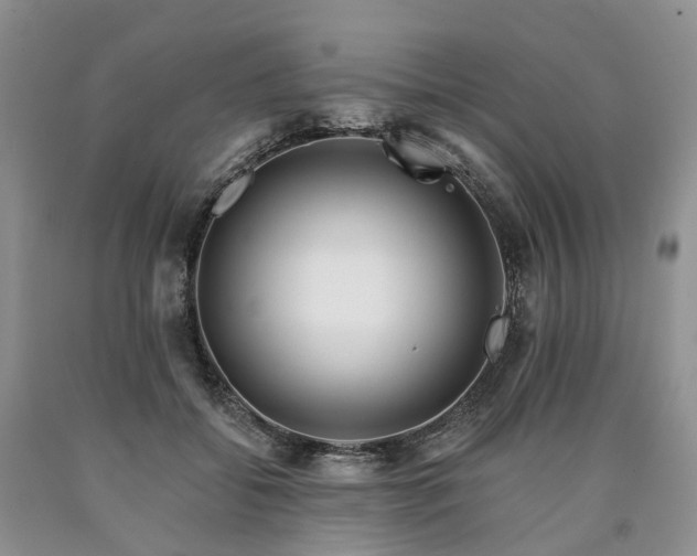 X0000090460556200707201336