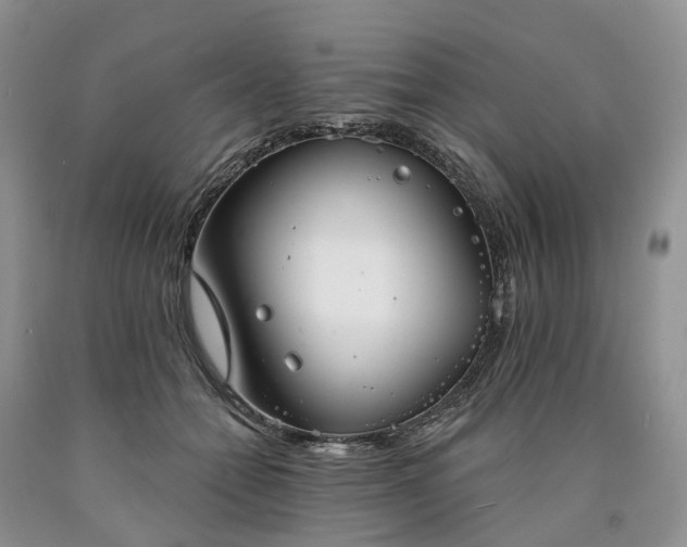 X0000090460558200707201336