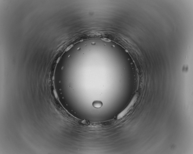 X0000090460560200707201336