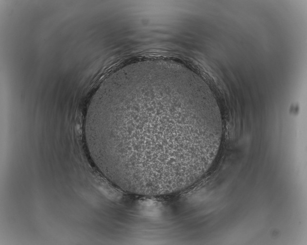 X0000090460561200707201336