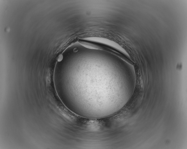 X0000090460562200707201336